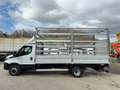 Iveco Daily Weiß - thumbnail 9