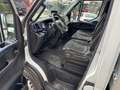 Iveco Daily Weiß - thumbnail 14