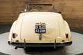 Buick Special Eight Cabriolet | 1940 Beige - thumbnail 14