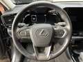 Lexus NX 350h 350h 2.5 Premium 4wd e-cvt Grigio - thumbnail 6