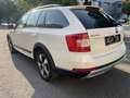 Skoda Octavia Combi 2,0 TDI 4x4 Scout Weiß - thumbnail 4