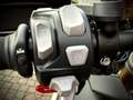 Triumph Tiger 1200 Rally Pro Shifter Zwart - thumbnail 5