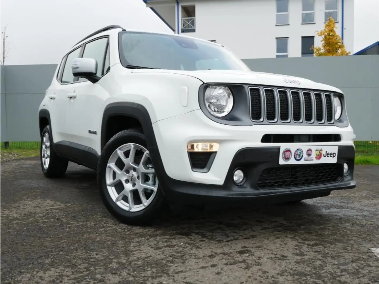 Jeep Renegade LIMITED 1.0 T-GDI 4x2 NAV PARK WINTER White - 2