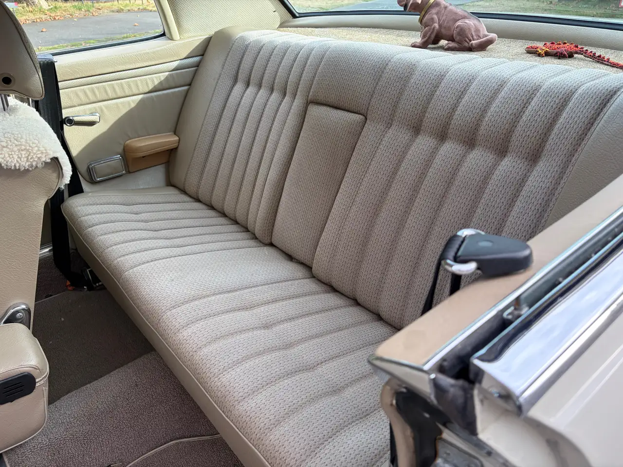 Mercedes-Benz 250 W114 Coupé Automatik, foto 12