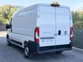 Fiat Ducato L2H2 - thumbnail 4