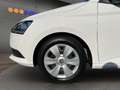 Skoda Fabia Fabia 1.0 MPI Cool Plus *KLIMA*PDC* Weiß - thumbnail 20