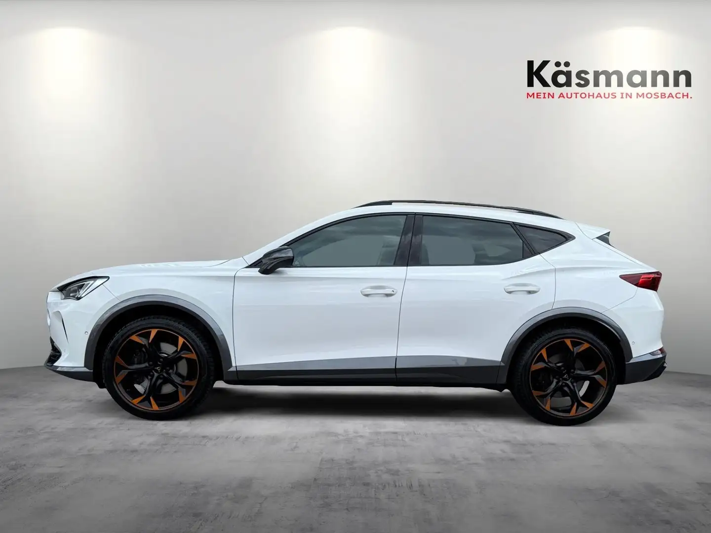 CUPRA Formentor VZ 4Drive LED KAM BEATS SHZ NAV Wit - 2