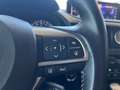 Lexus RX 450h L Executive Line *HUD*Navi*LED*CAM*SHZ* Argent - thumbnail 25
