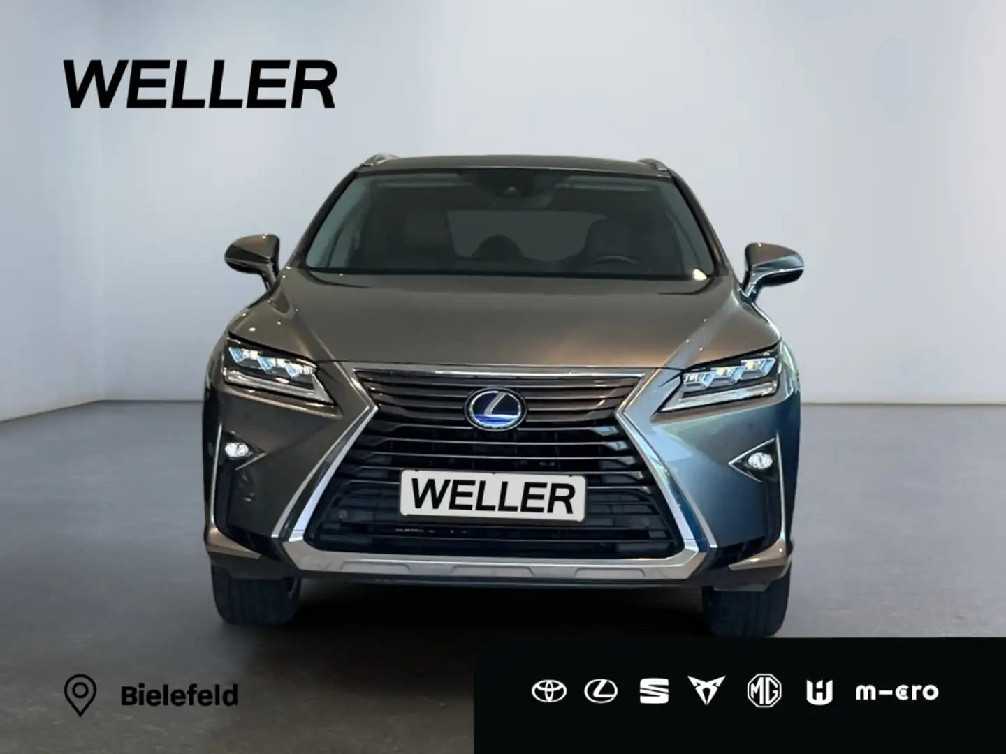 Lexus RX 450h L Executive Line *HUD*Navi*LED*CAM*SHZ* Plateado - 2