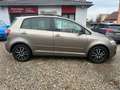 Volkswagen Golf Plus VI Match B-Xenon Teilder AHK Brun - thumbnail 9