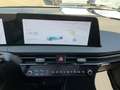 Kia EV6 Elektro 360 Grad Kamera, Abstandstempomat Grau - thumbnail 15