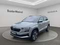 Skoda Karoq 2.0 TDI Navi LED RFK SHZ Grau - thumbnail 1