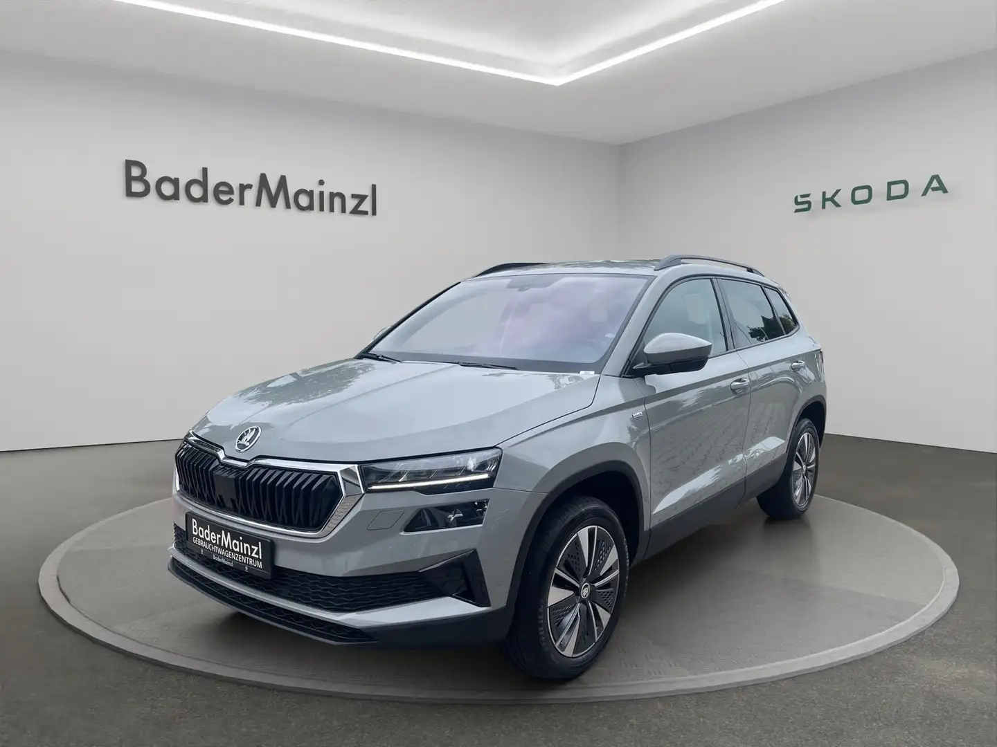 Skoda Karoq 2.0 TDI Navi LED RFK SHZ Grau - 1