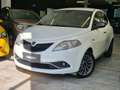 Lancia Ypsilon Ypsilon III 2015 1.2 Silver ecochic Gpl 69cv Biały - thumbnail 1