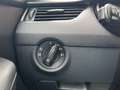 Skoda Octavia Combi 1.6 TDI Greenl. Bns NIEUWE APK / LEER / XENO Grey - thumbnail 33