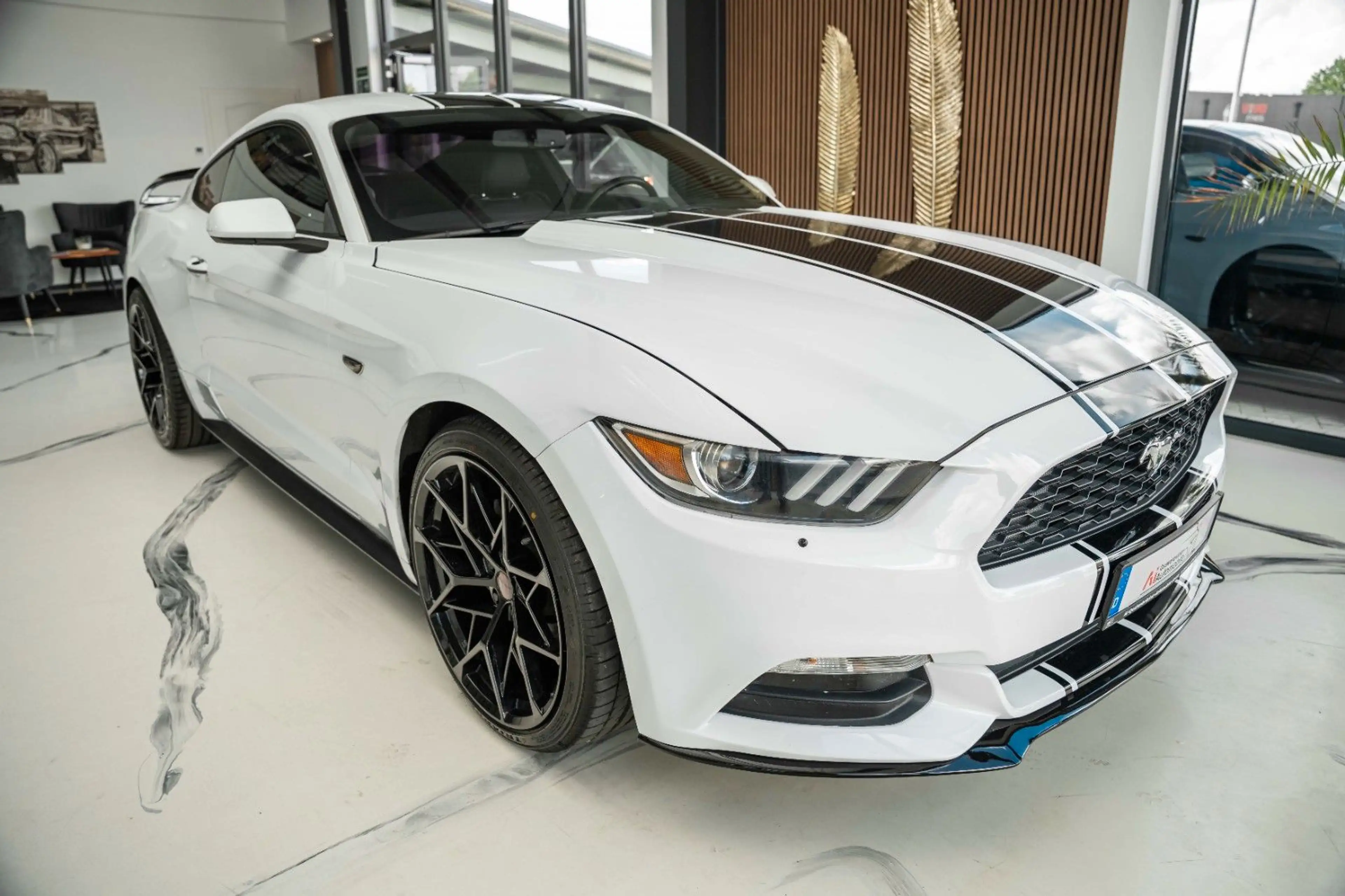 Ford Mustang 3,7 V6 LEDER XENON 20° TOP — photo 3