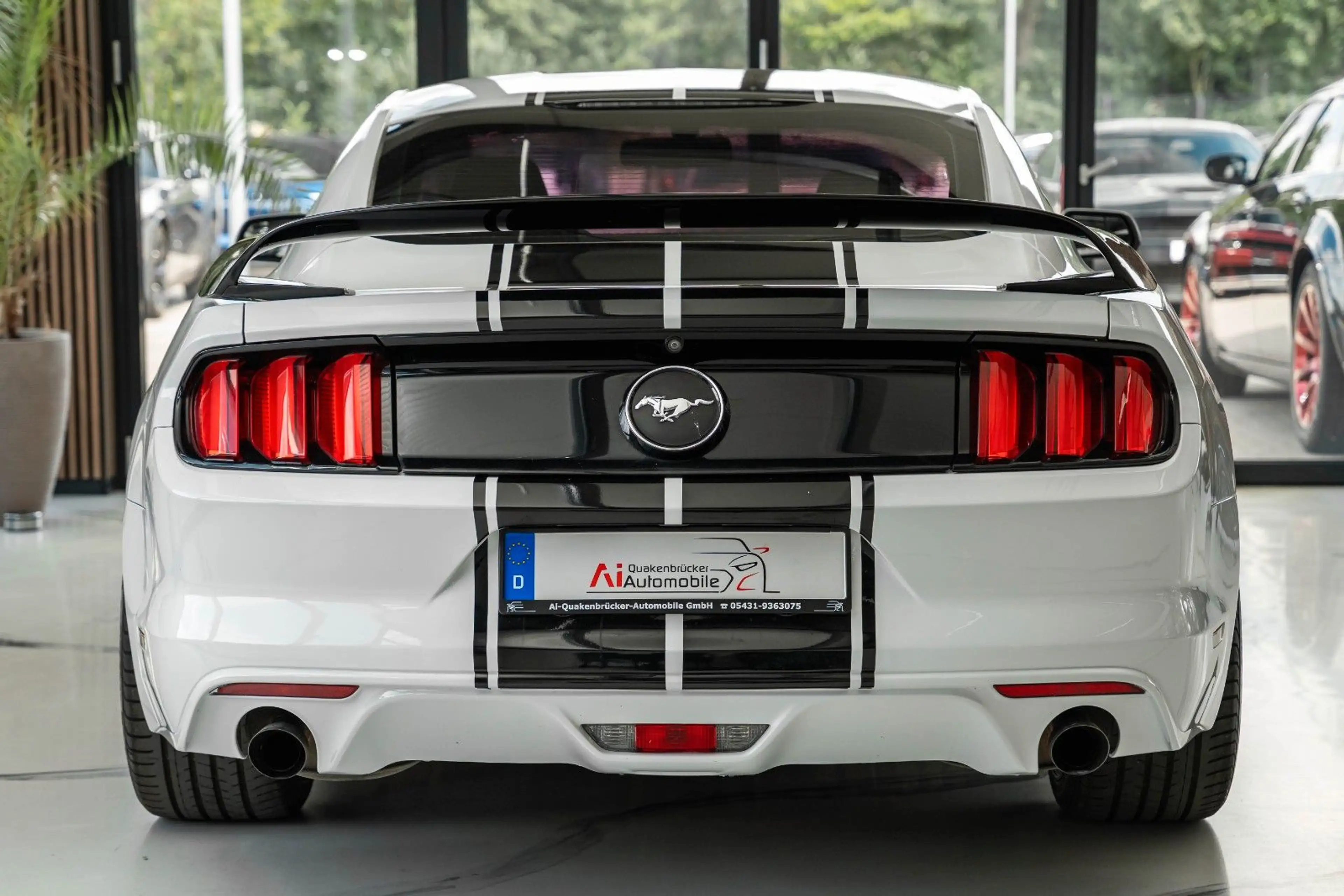 Ford Mustang 3,7 V6 LEDER XENON 20° TOP — photo 7