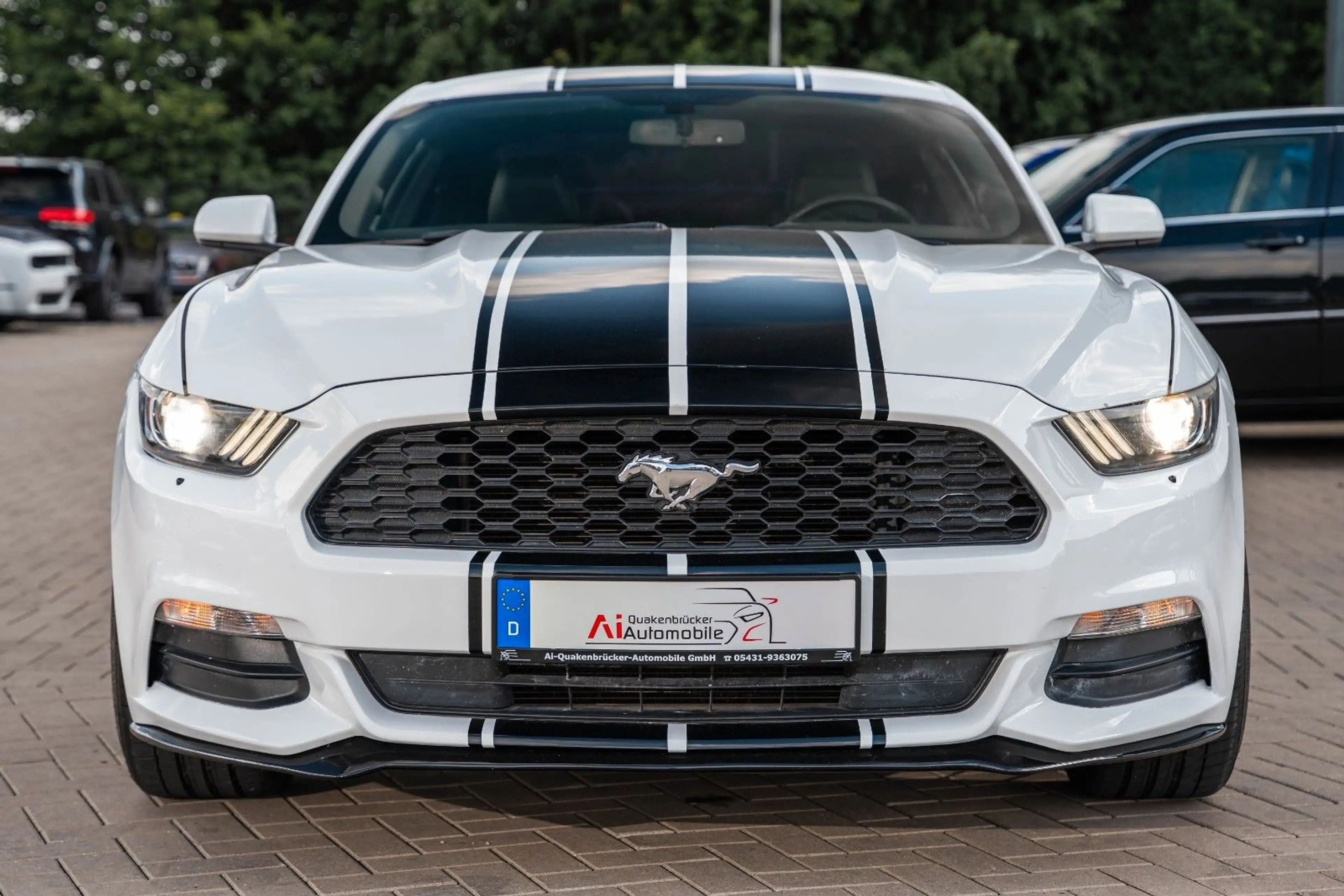 Ford Mustang 3,7 V6 LEDER XENON 20° TOP — photo 9