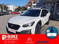 Subaru OUTBACK 2.5i Lineartronic Exclusive Cross Weiß - thumbnail 1