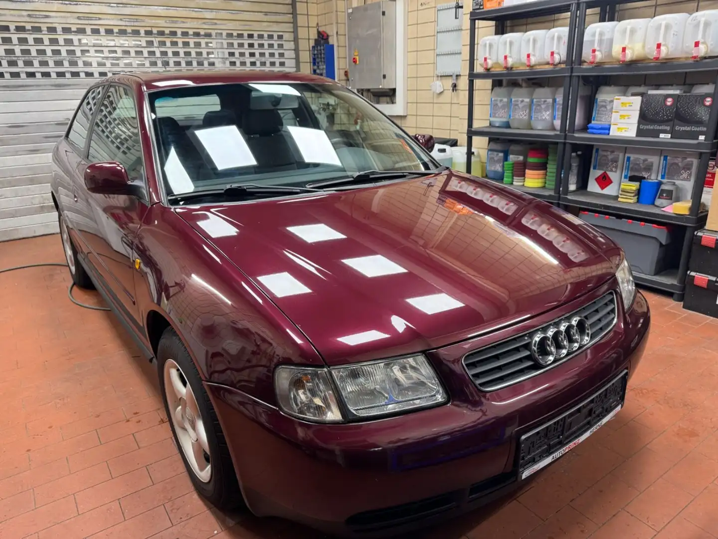 Audi A3 8L *1.Hand*Sehr gepflegt* Червоний - 2