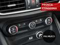 Alfa Romeo Stelvio Stelvio 2.2 Turbodiesel 160 CV AT8 RWD Business - thumbnail 13