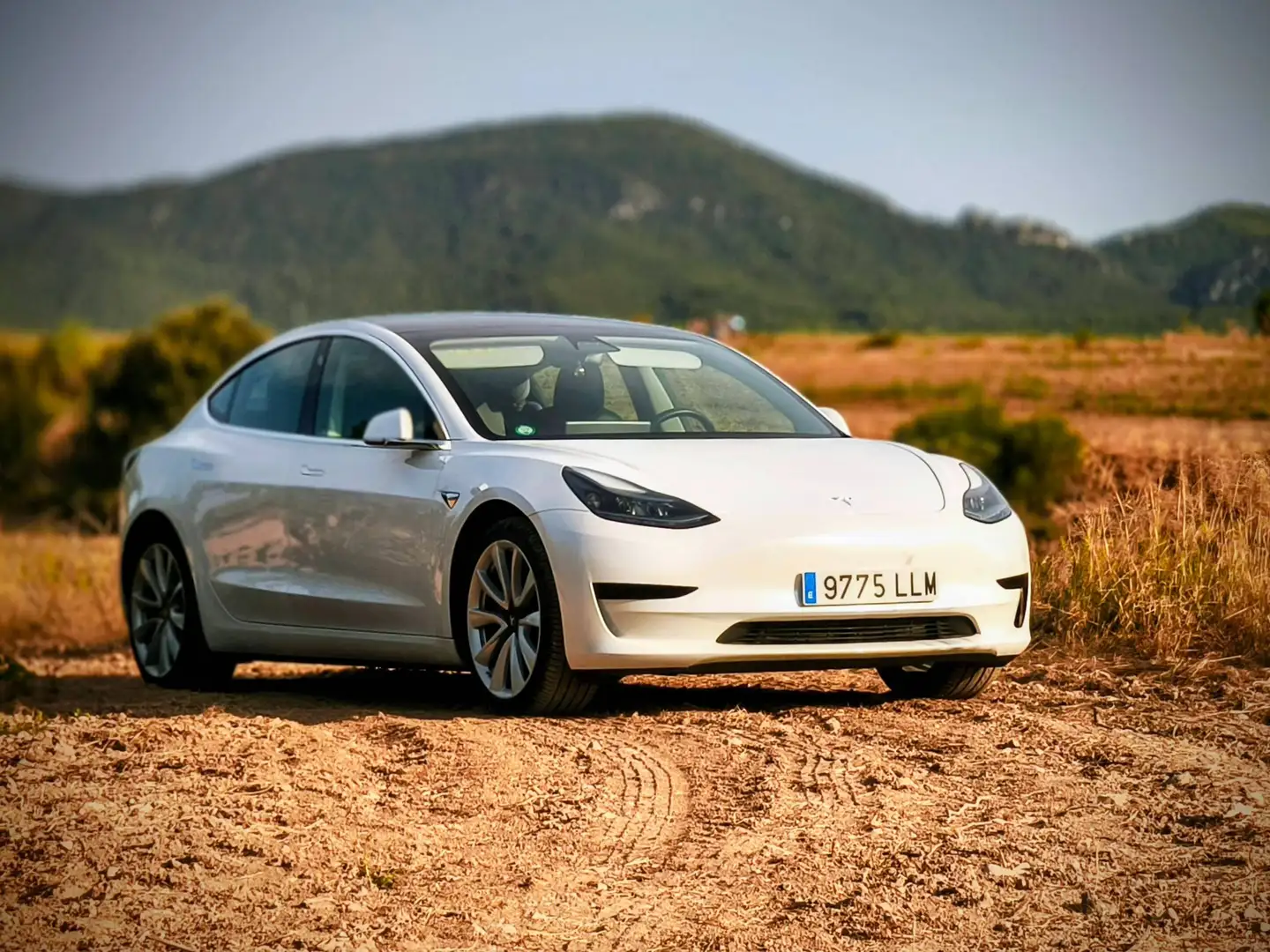 Tesla Model 3 Model 3 Standard RWD Plus Blanco - 1