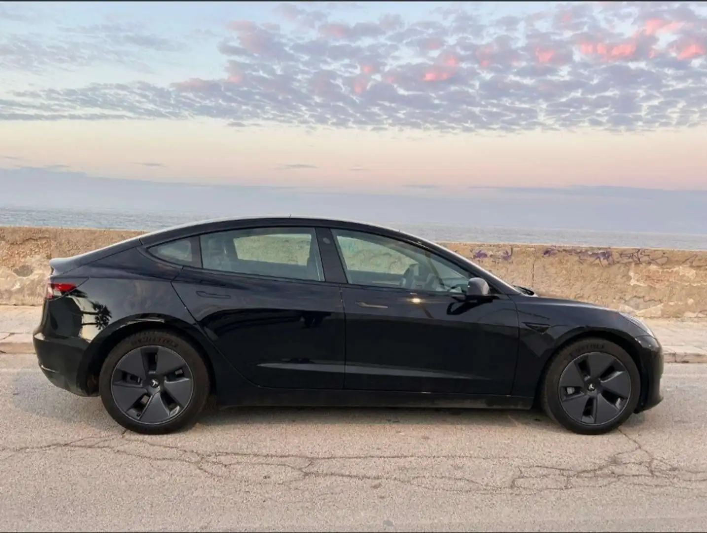 Tesla Model 3 Standard rwd Plus - 1