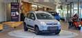 Fiat Panda 4x2 FireFly Hybrid 70 City Life Grau - thumbnail 3