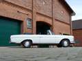 Mercedes-Benz 280 SE Werkscabriolet W111 Weiß - thumbnail 14