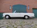 Mercedes-Benz 280 SE Werkscabriolet W111 Weiß - thumbnail 5