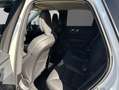 Volvo XC60 XC60 B5 B AWD Core Weiß - thumbnail 8