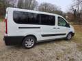 Fiat Scudo Wohnmobil Zulassung, Camper Weiß - thumbnail 6