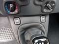 Fiat Panda 1.0 Pandina Mild Hybrid  6-Gang Klima Radio dig... Rot - thumbnail 7
