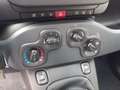 Fiat Panda 1.0 Pandina Mild Hybrid  6-Gang Klima Radio dig... Rot - thumbnail 6