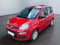 Fiat Panda 1.0 Pandina Mild Hybrid  6-Gang Klima Radio dig... Rot - thumbnail 2