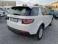 Land Rover Discovery Sport Discovery Sport 2.0 TD4 150 CV Pure Bej - thumbnail 6