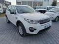 Land Rover Discovery Sport Discovery Sport 2.0 TD4 150 CV Pure Bej - thumbnail 8