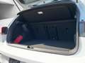 Volkswagen Golf 8 R-Line 1.5 TSI ACC HuD NAVI SHZ 5J.GAR. Weiß - thumbnail 6