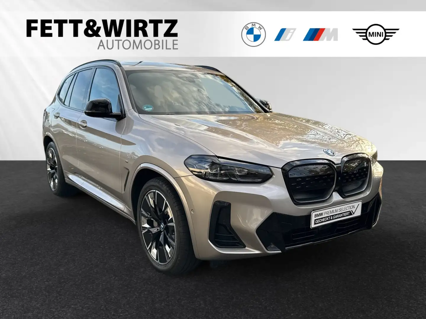 BMW iX3 1,89 % / GAP / 48 M|H/K|Pano|AHK Argent - 1
