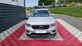 Volvo XC40 t5 recharge 180+82 ch dct7 inscription Blanc - thumbnail 9