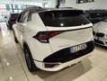 Kia Sportage 1.6 TGDi HEV AT GT-line Plus Weiß - thumbnail 4