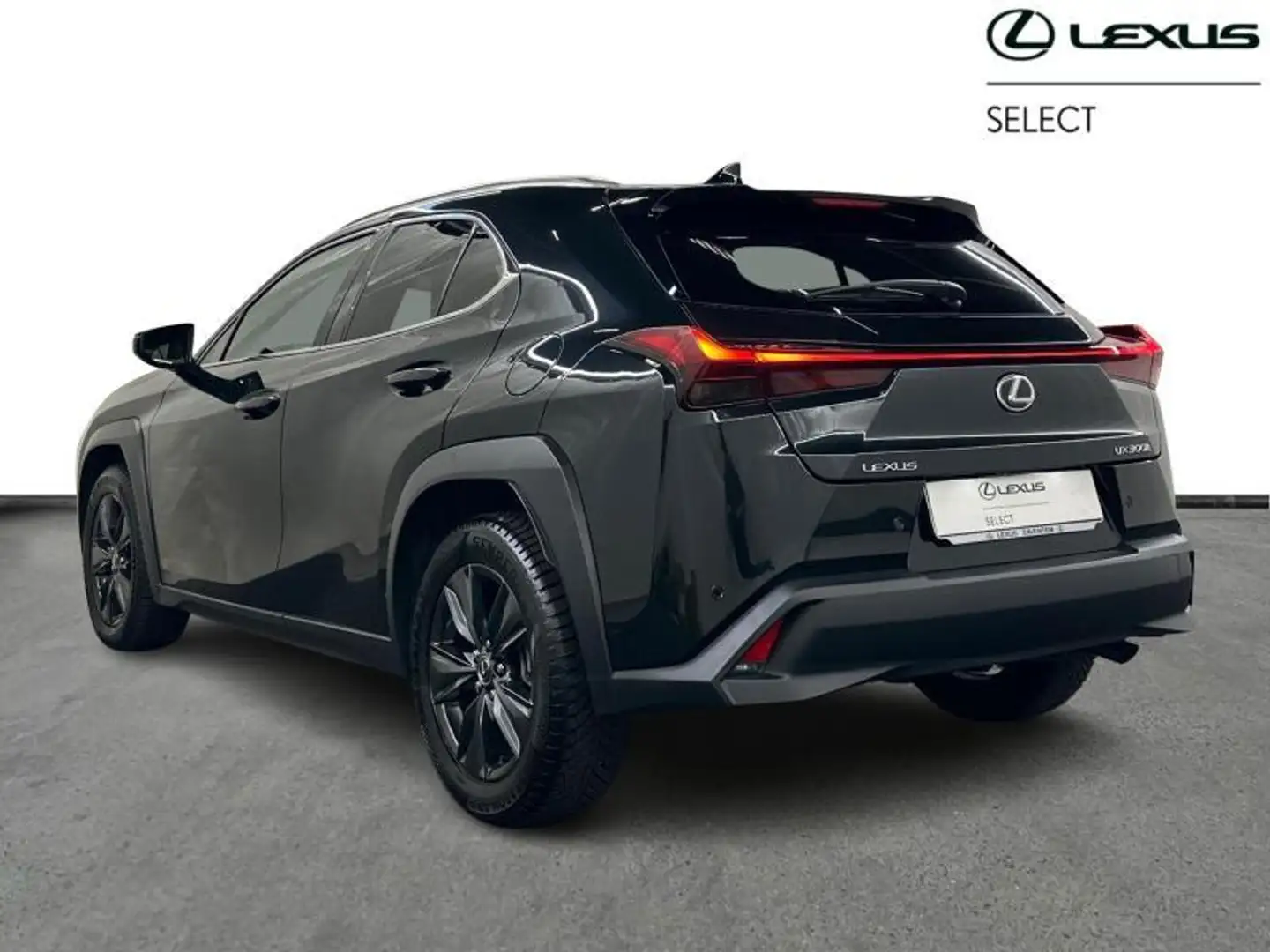 Lexus UX 300h Business Line | winter pack | all seasons Schwarz - 2