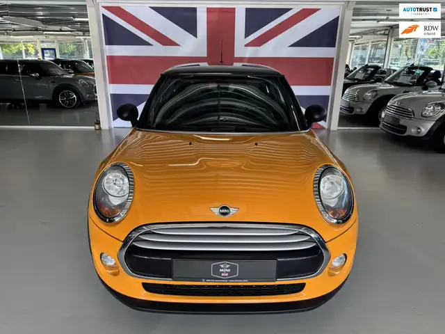 MINI Mini