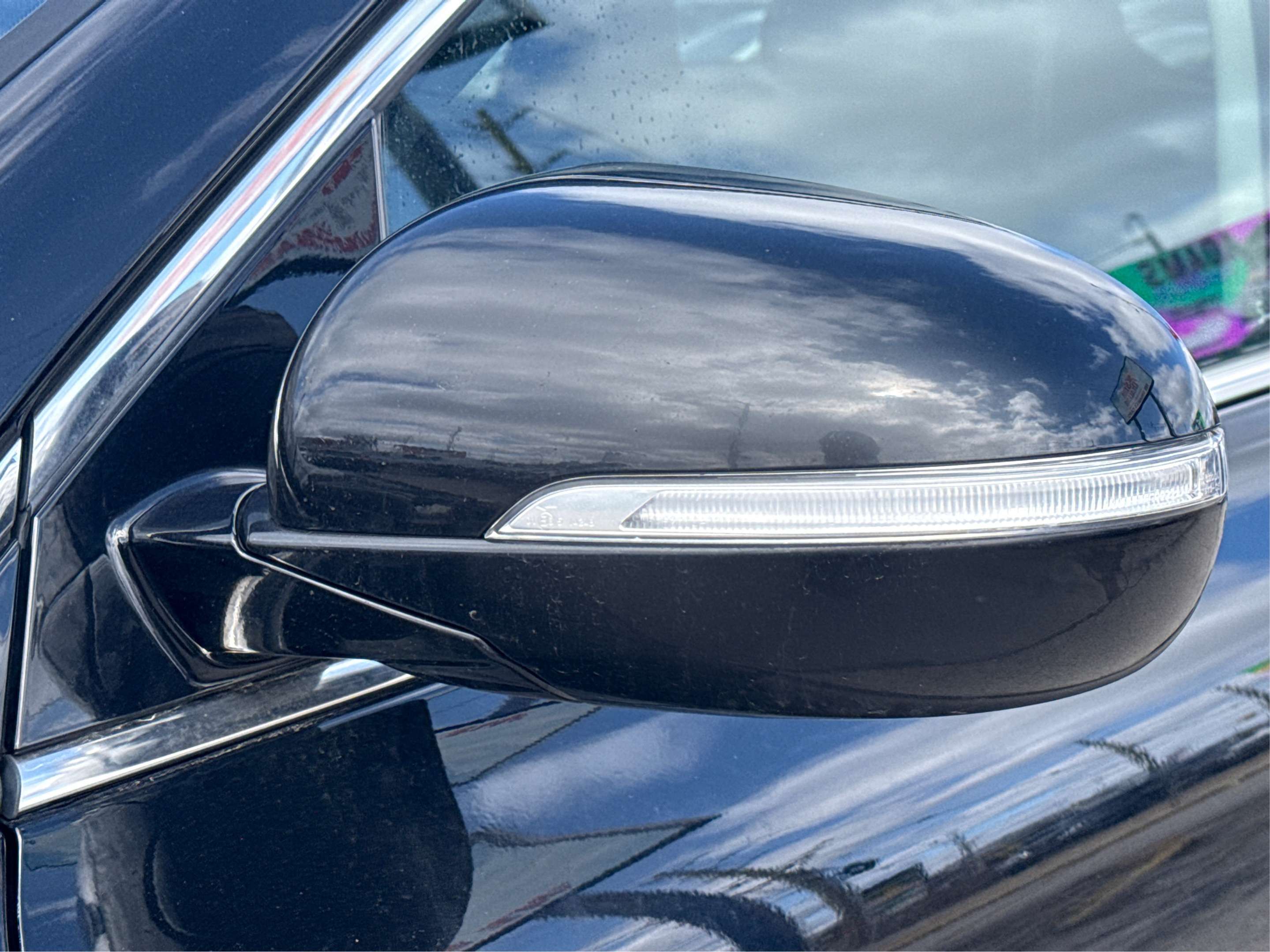 Image 19