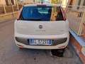Fiat Punto Evo Punto Evo 5p 1.3 mjt Dynamic s Bianco - thumbnail 5