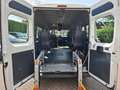 Fiat Ducato 3.0 7-PERSOONS 4250.- INCL BTW ROLSTOELVERVOER AAR Blanc - thumbnail 13