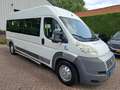 Fiat Ducato 3.0 7-PERSOONS 4250.- INCL BTW ROLSTOELVERVOER AAR Blanc - thumbnail 9