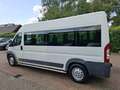 Fiat Ducato 3.0 7-PERSOONS 4250.- INCL BTW ROLSTOELVERVOER AAR Blanc - thumbnail 4