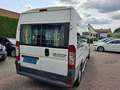 Fiat Ducato 3.0 7-PERSOONS 4250.- INCL BTW ROLSTOELVERVOER AAR Blanc - thumbnail 6