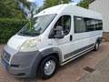 Fiat Ducato 3.0 7-PERSOONS 4250.- INCL BTW ROLSTOELVERVOER AAR Blanc - thumbnail 16